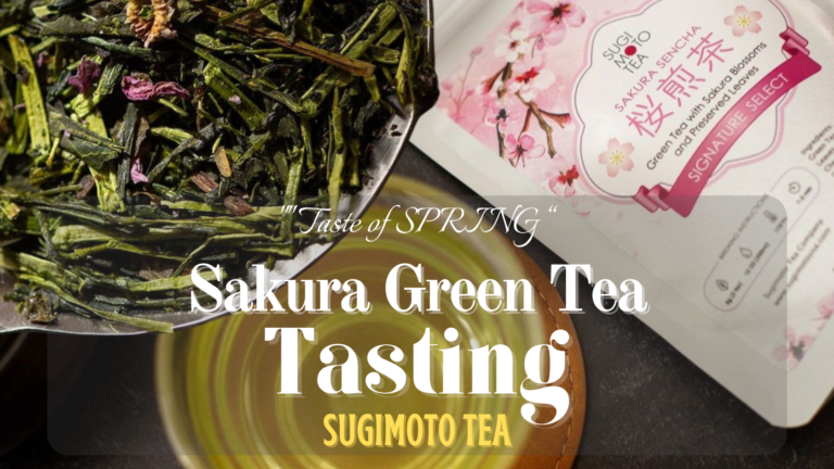 Sugimoto Sakura Green Tea Tasting